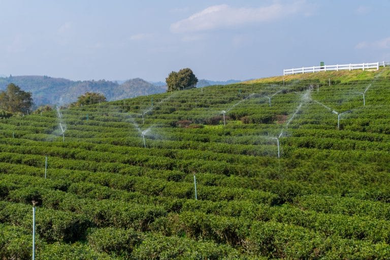 Как настроить систему умного сельского хозяйства с использованием Industrial 4G DTU: руководство 2025 года