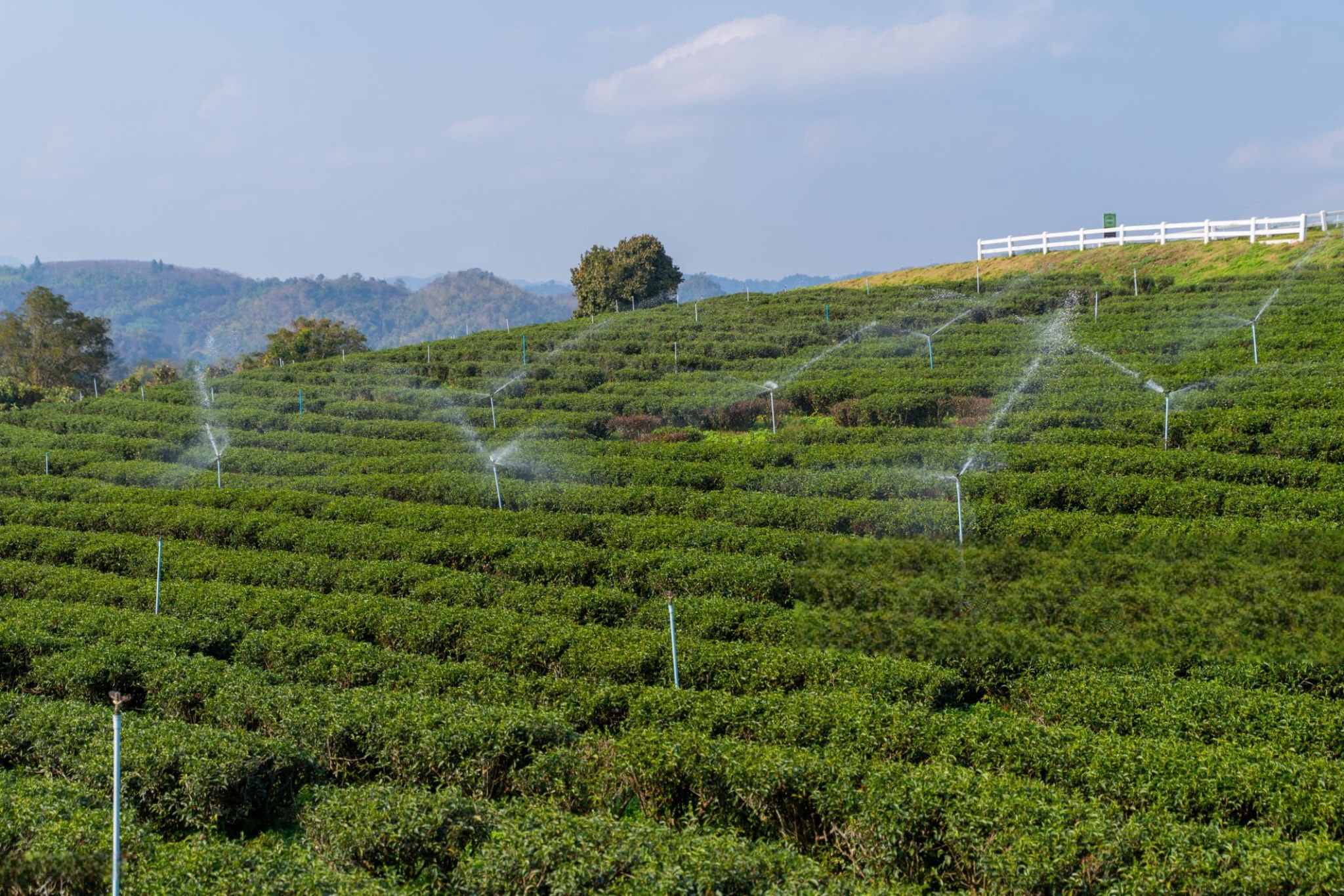 istockphoto 2008028345 2048x2048 1