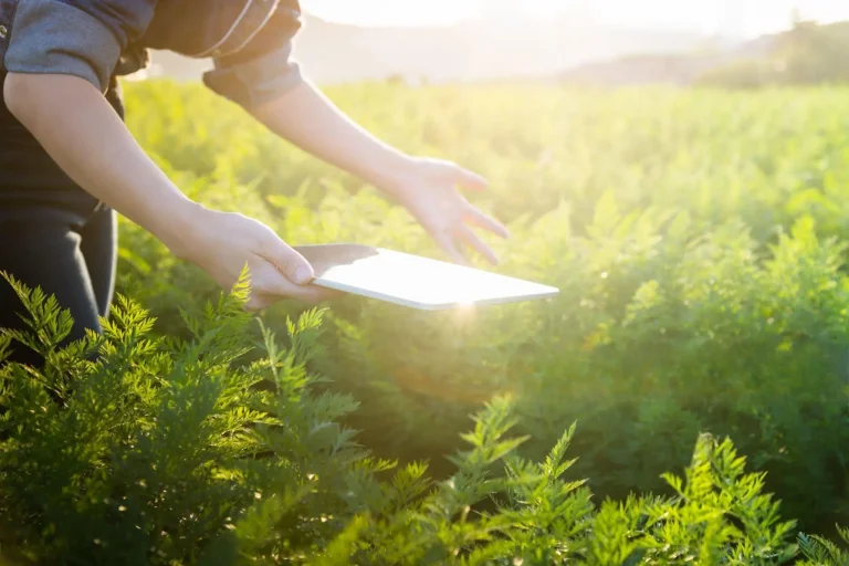 Пошаговое руководство: Настройка вашего промышленного 4G DTU для умного сельского хозяйства