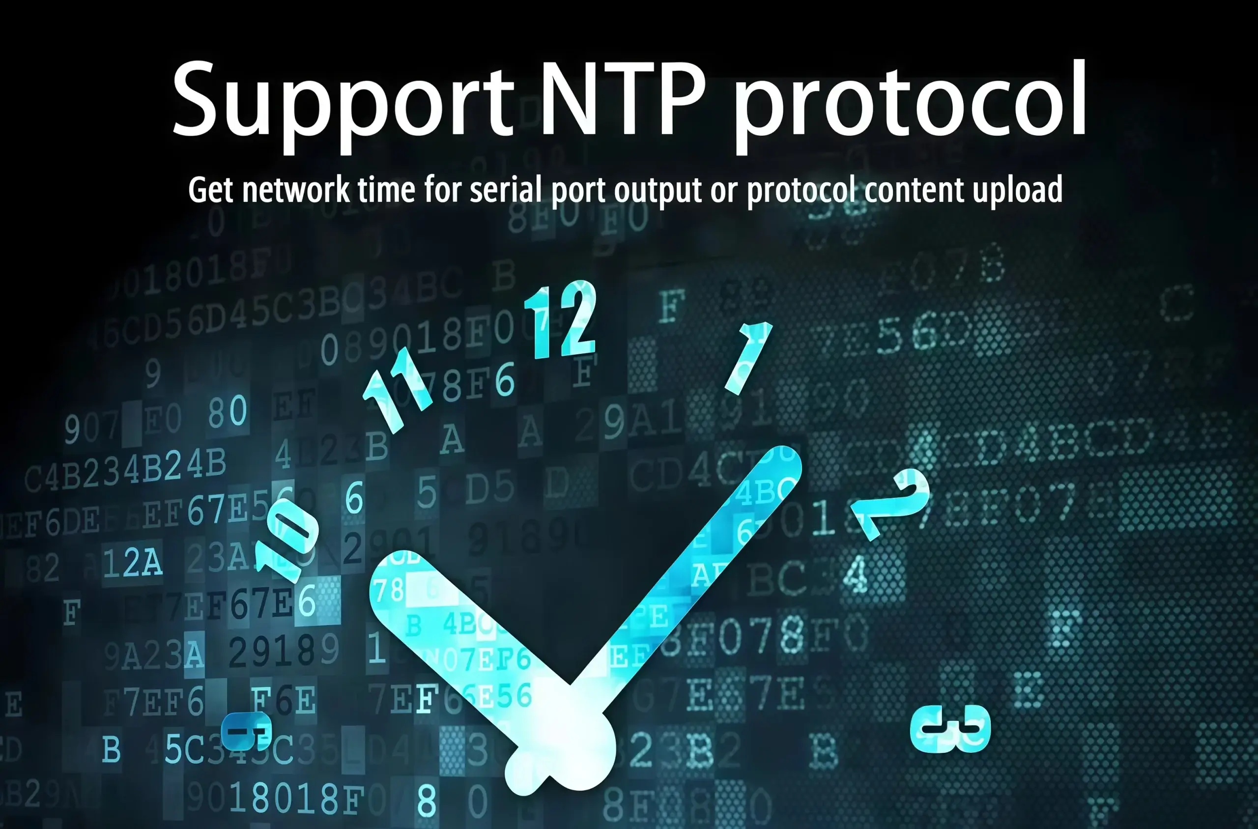 Network architecture topology setup