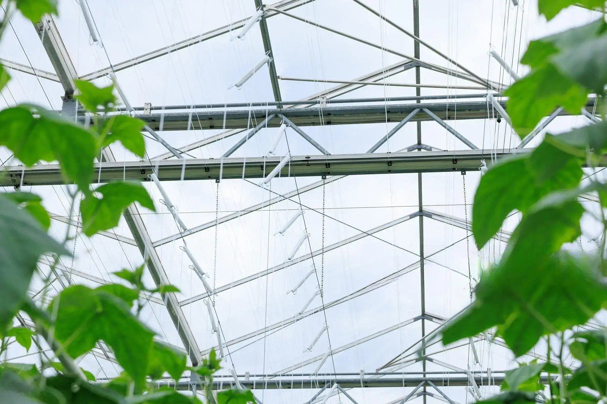 Sub-GHz LoRa Greenhouse Penetration